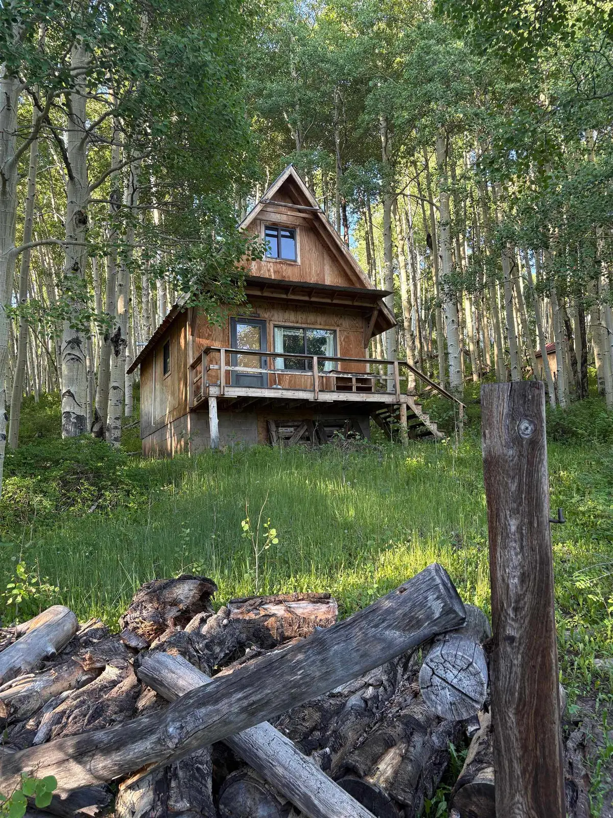 37081 Roatcap Road, Paonia, CO 81428 - #1
