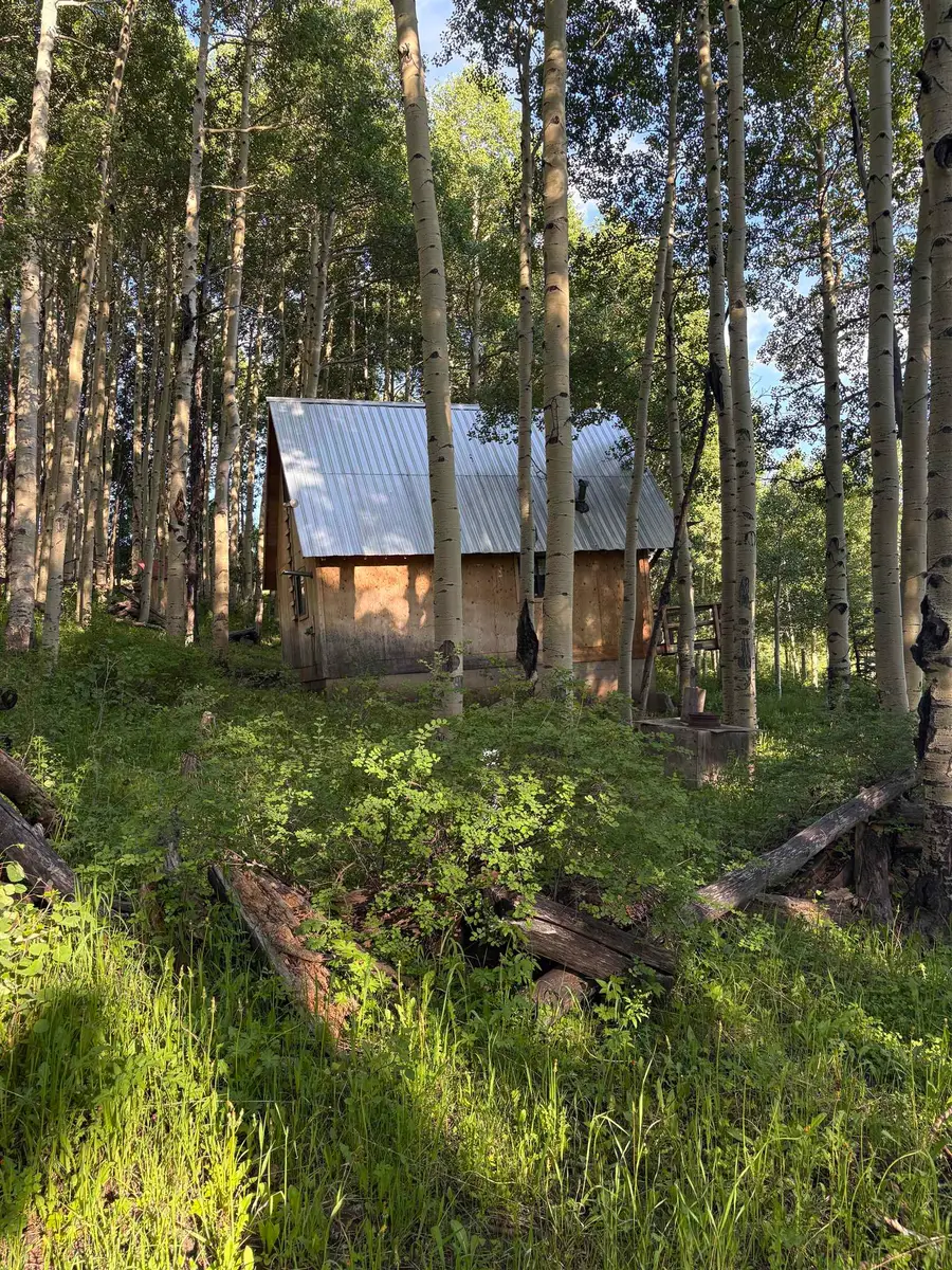 37081 Roatcap Road, Paonia, CO 81428 - #3