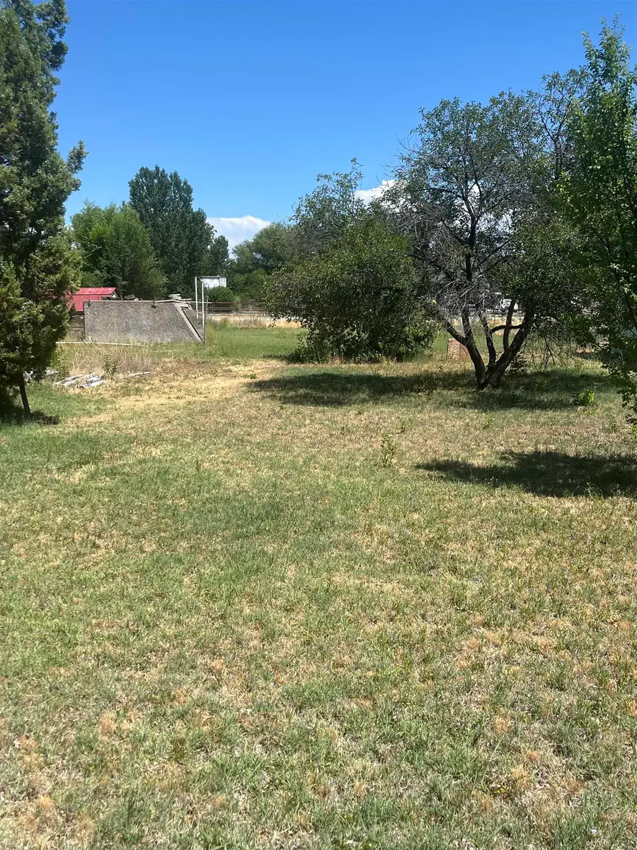 250 N Ash Street, Fruita, CO 81521 - #2