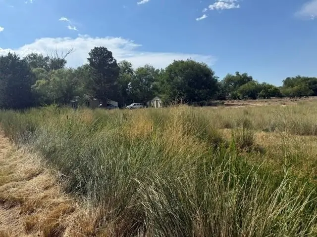 2904 B 1/2 Road, Grand Junction, CO 81503 - #2