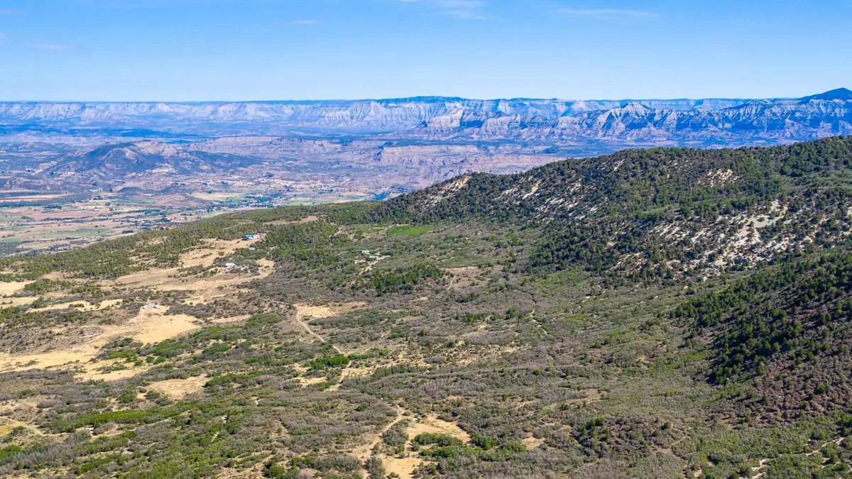 TBD Coon Creek Road, Mesa, CO 81643 - #1