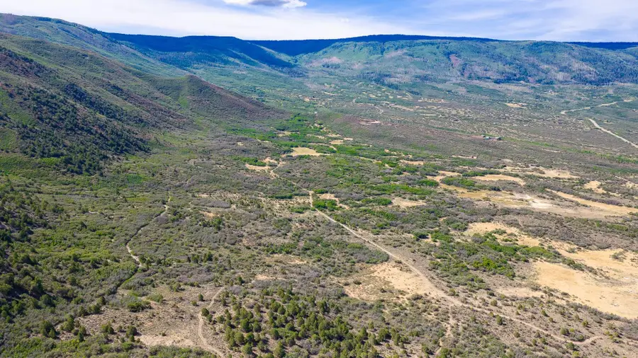 TBD Coon Creek Road, Mesa, CO 81643 - #3