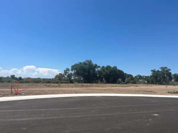 965 Hay Bale Court, Fruita, CO 81521