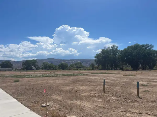 971 Hay Bale Court, Fruita, CO 81521