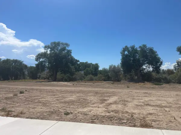 973 Hay Bale Court, Fruita, CO 81521