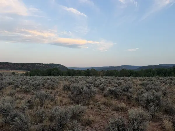 TBD S 9 8/10 Road, Glade Park, CO 81523