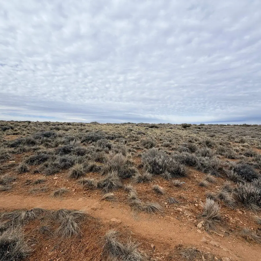 LOT 130 Nicolette Way, Cortez, CO 81321 - #3