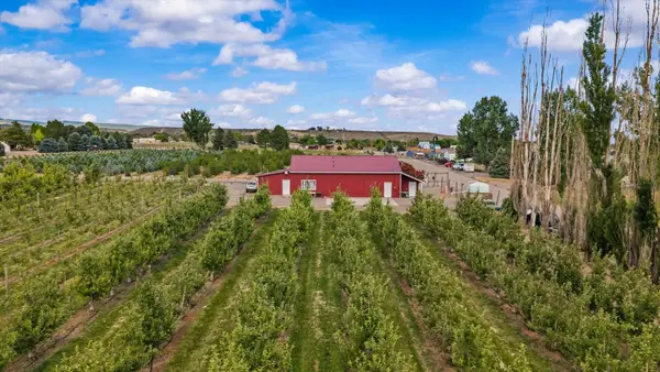 20977 Nowhere Road, Eckert, CO 81418