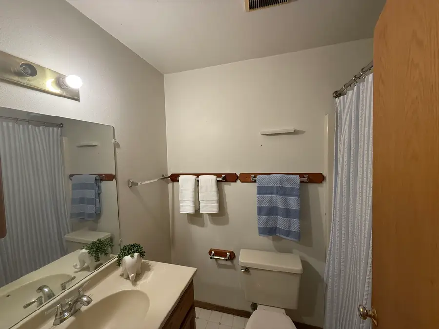 102 Spruce Court, Ouray, CO 81427 - #3