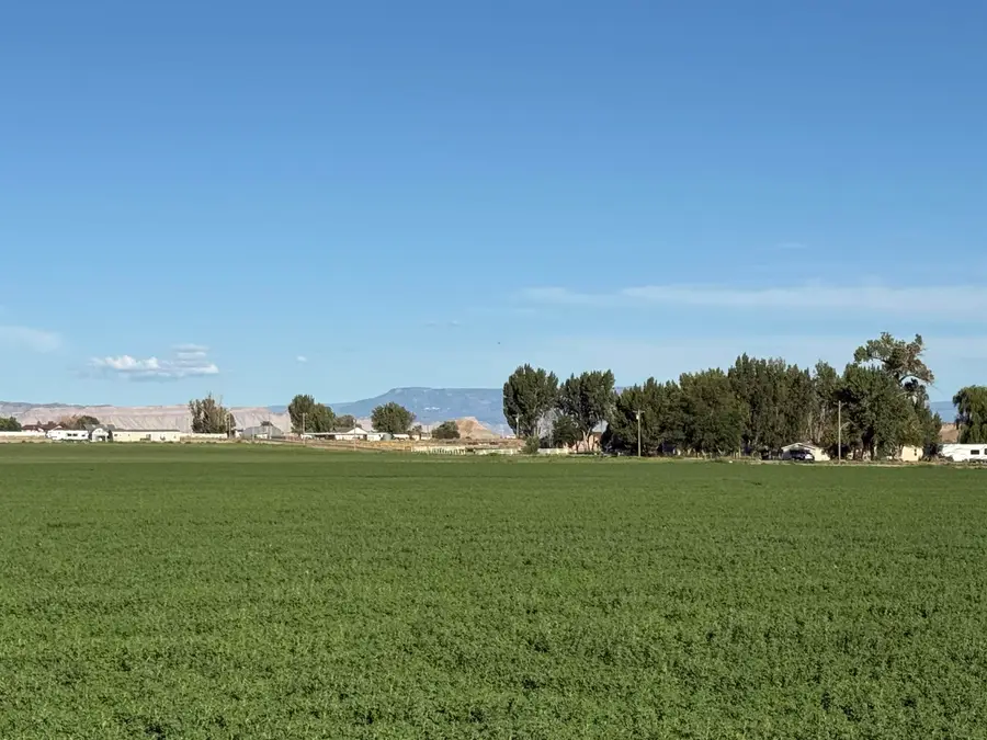 1402 O Road, Loma, CO 81524 - #2