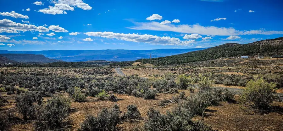 15220 45 1/2 Road, De Beque, CO 81630 - #3