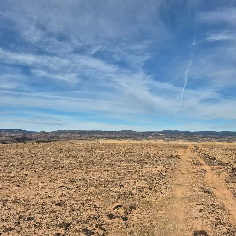 TBD Tbd, Whitewater, CO 81527 - #3