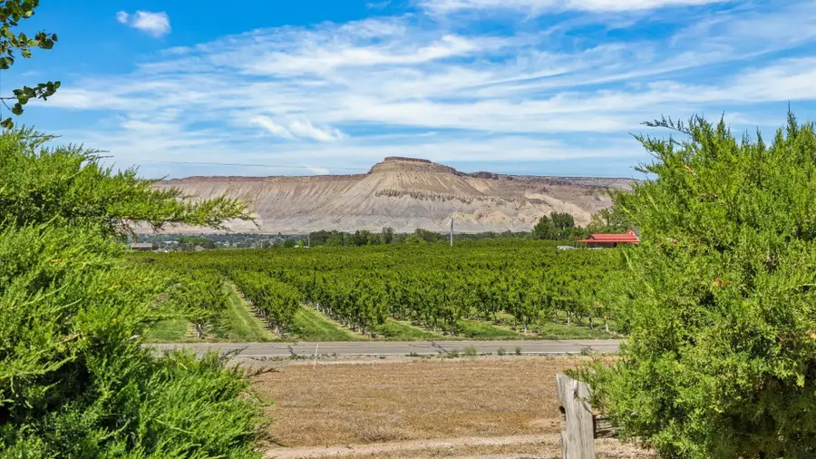 3365 C Road, Palisade, CO 81526 - #3