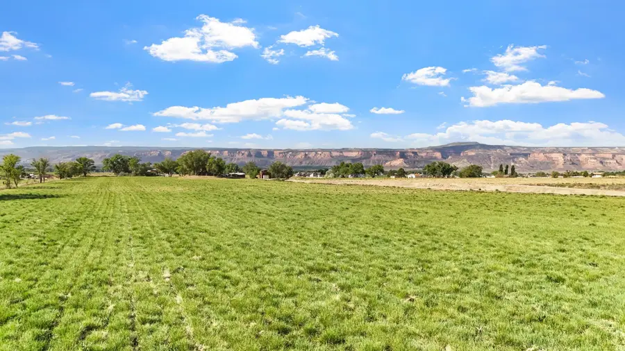 2176 J 1/4 Road, Grand Junction, CO 81505 - #3