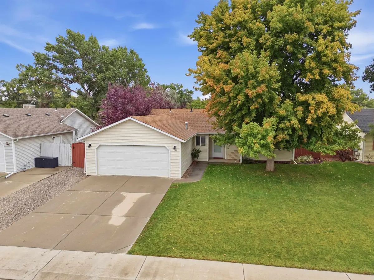 1131 Walnut Street, Fruita, CO 81521 - #1