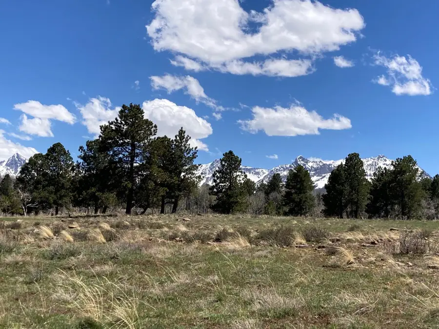 14 County Road 62x, Placerville, CO 81430 - #2