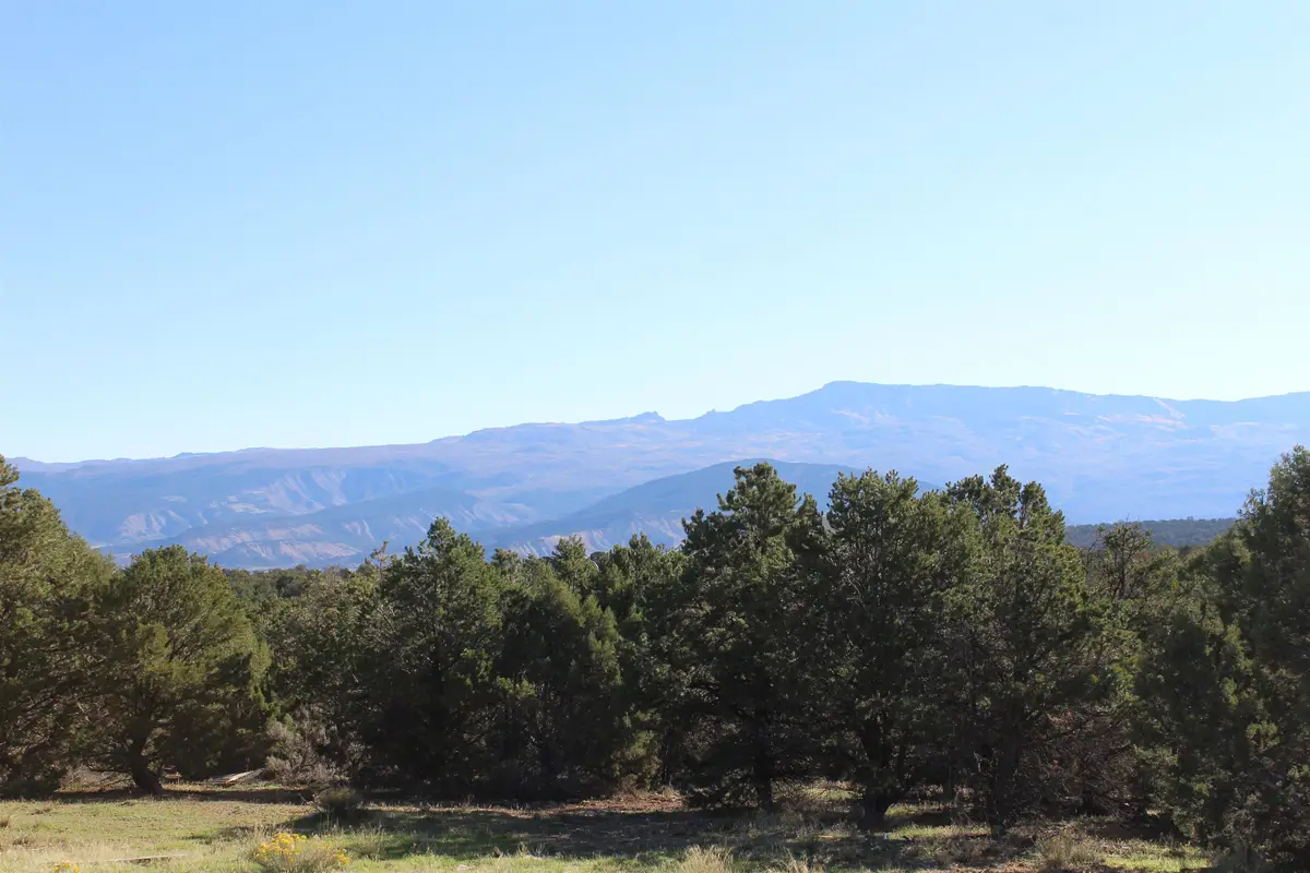 215 County Road 22a, Montrose, CO 81403 - #1