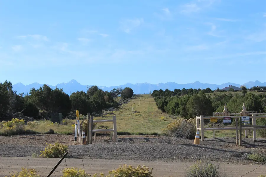215 County Road 22a, Montrose, CO 81403 - #2