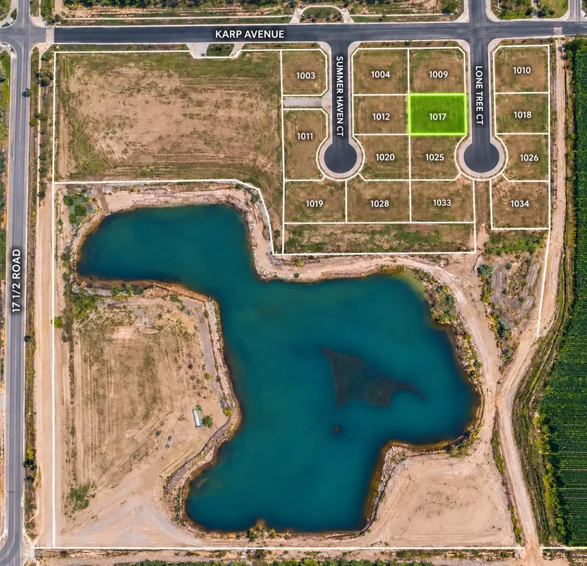 1017 Lone Tree Court, Fruita, CO 81521 - #1