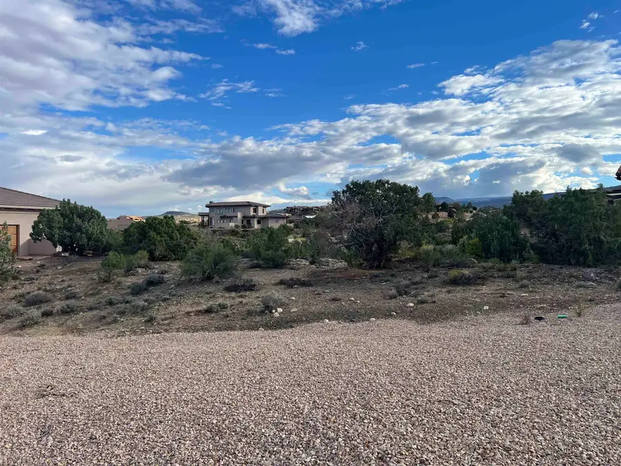 335 Red Ridge Court, Grand Junction, CO 81507 - #3