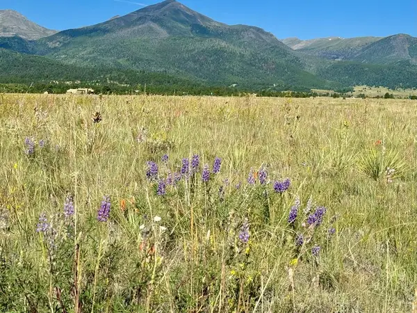 5151 County Rd 160, Westcliffe, CO 81252