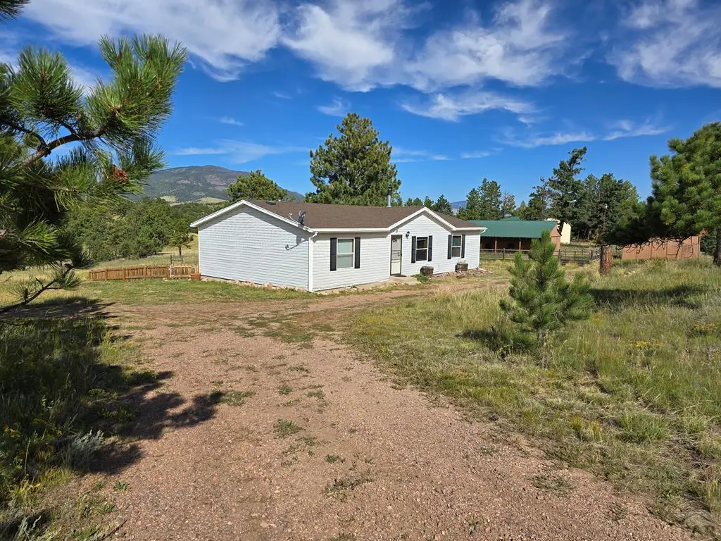 985 Basswood Ln, Canon City, CO 81212 - #1