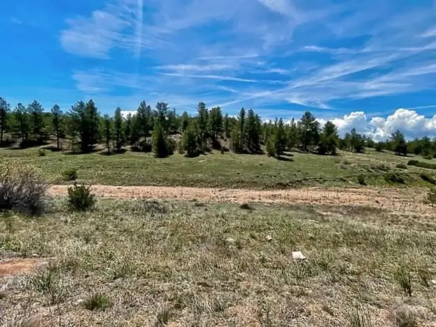 7080 Copper Gulch Road, Cotopaxi, CO 81223 - #3