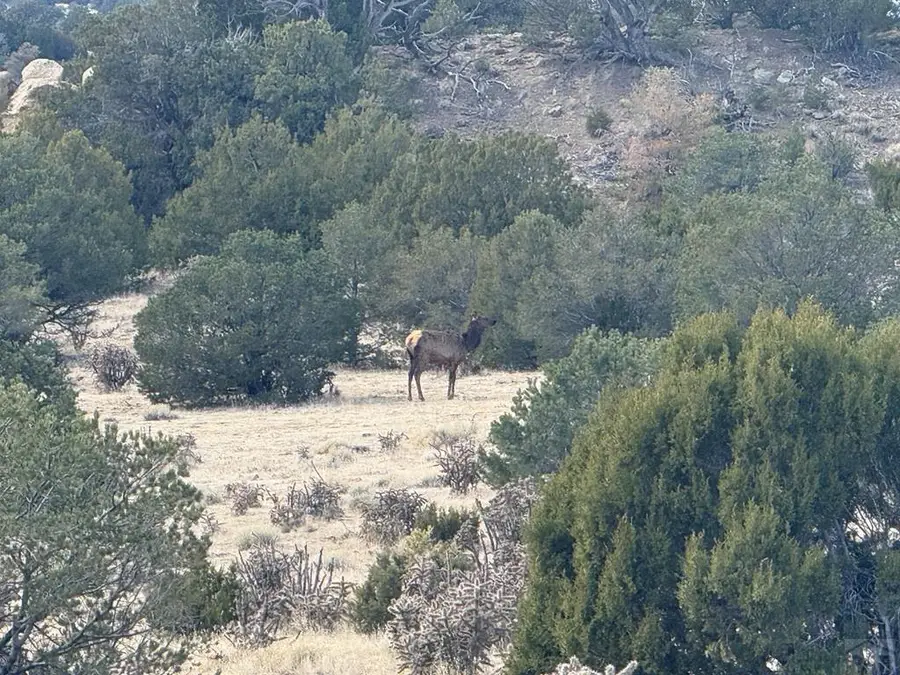 TBD County Rd 521.3, Walsenburg, CO 81089 - #2