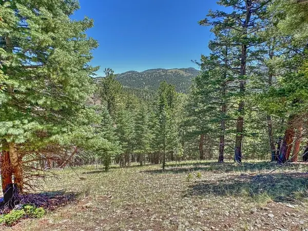 96 N Matterhorn Circle, Westcliffe, CO 81252