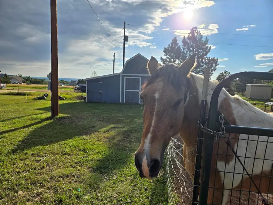 10436 Hayes Lane, Rye, CO 81069 - Image #3