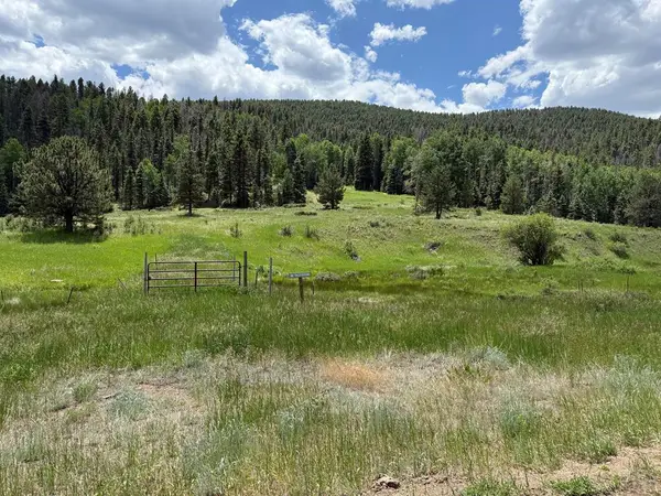 7700 Junkins Loop, Westcliffe, CO 81252