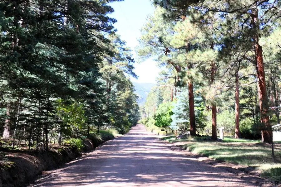 TBD Mariposa Ave, Rye, CO 81069 - Image #3