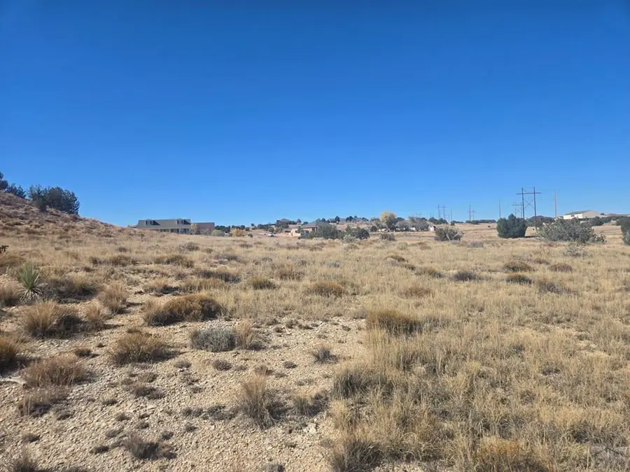 706 S Carrizo Springs Ave, Pueblo West, CO 81007 - Image #3