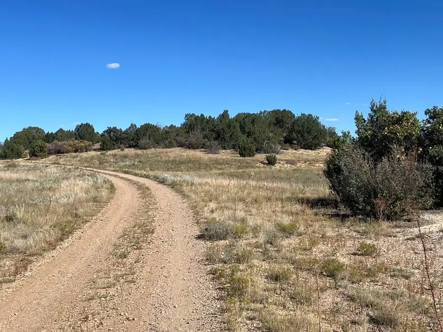 TBD Cripple Creek Dr., Colorado City, CO 81019 - Image #3