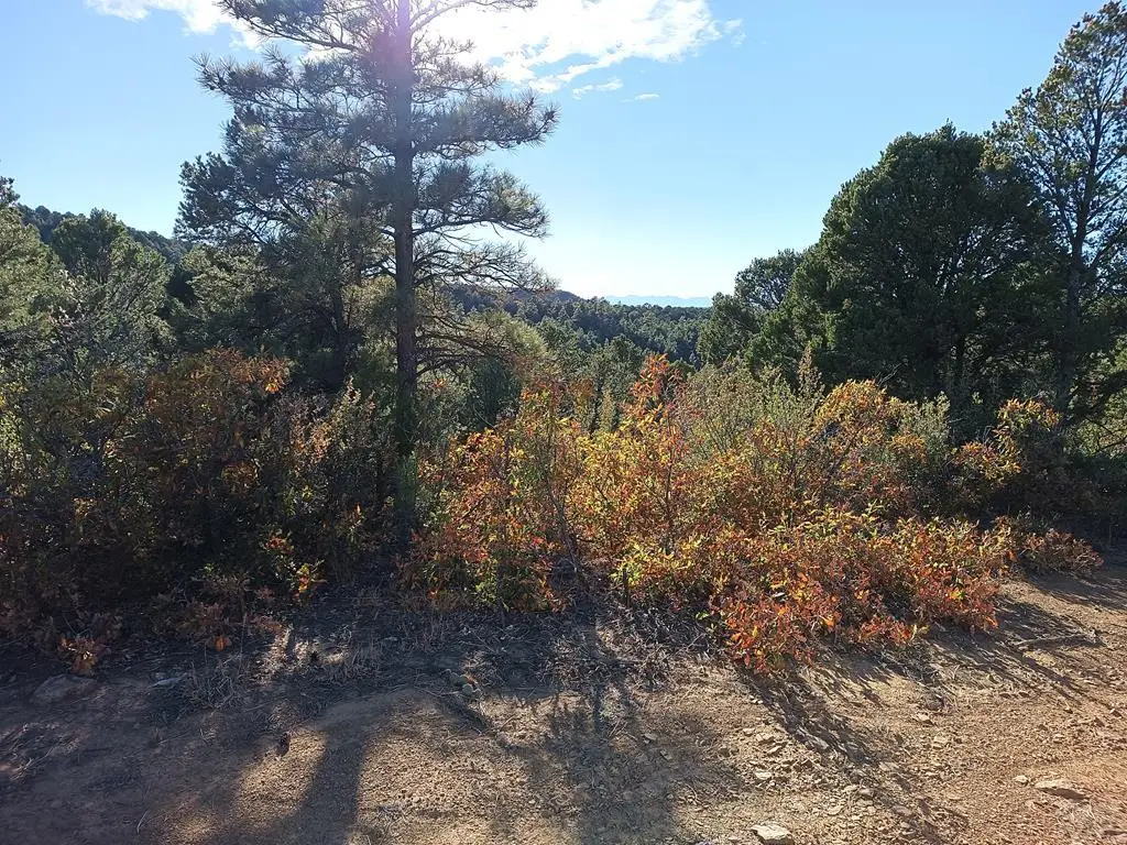 LOT 86 Ponderosa Hills, Trinidad, CO 81082 - Image #1