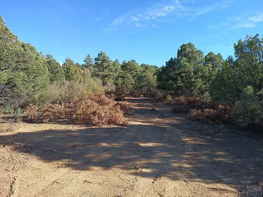 LOT 86 Ponderosa Hills, Trinidad, CO 81082 - Image #2