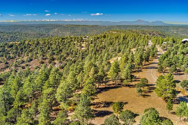 33250 Fox Trail, Trinidad, CO 81082