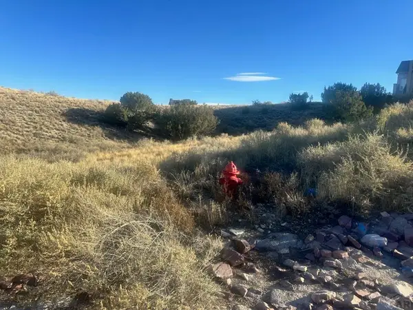 1242 S Skyline Lane, Pueblo West, CO 81007