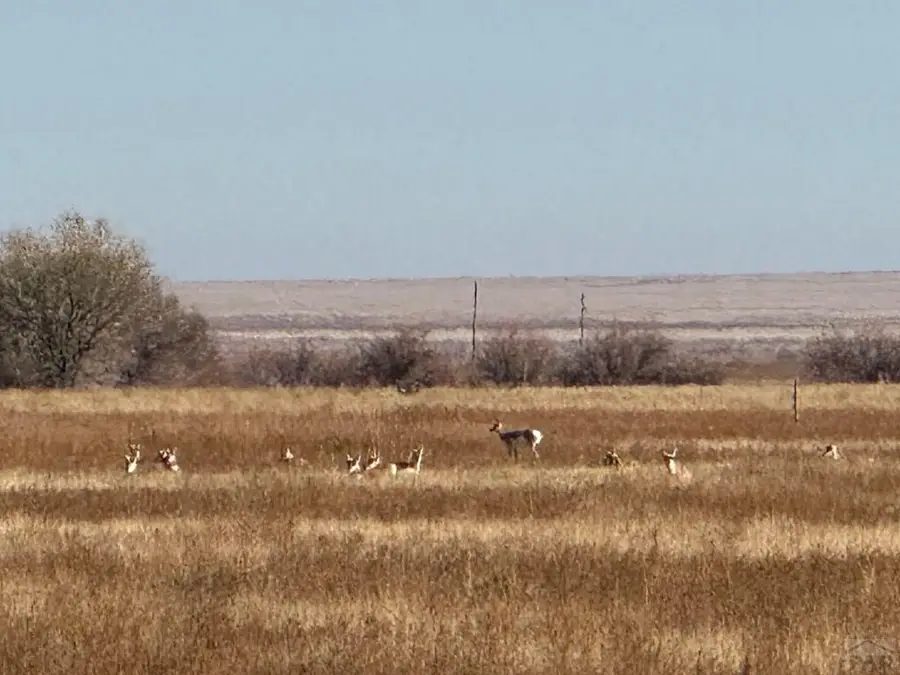 4475 17th Lane, Ordway, CO 81063 - Image #3