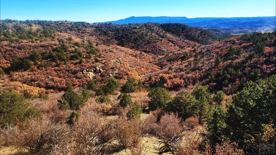 11298 Primero Ranch Rd, Trinidad, CO 81082 - Image #3