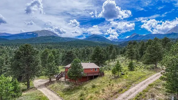 225 Reiser Ln, Westcliffe, CO 81252