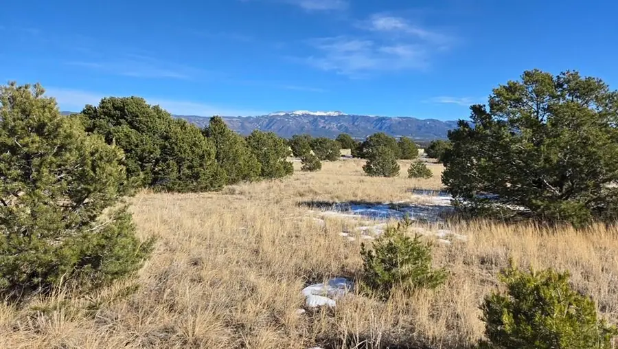 240 No Site Address, Gardner, CO 81040 - Image #3