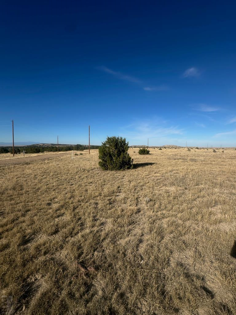 lot 11 Cedarwood Station, Huerfano Valley, CO 81004 - #1