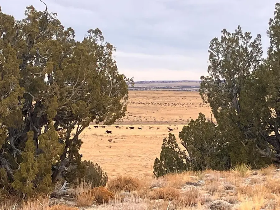 0 County Road 91.9, Aguilar, CO 81020 - Image #2