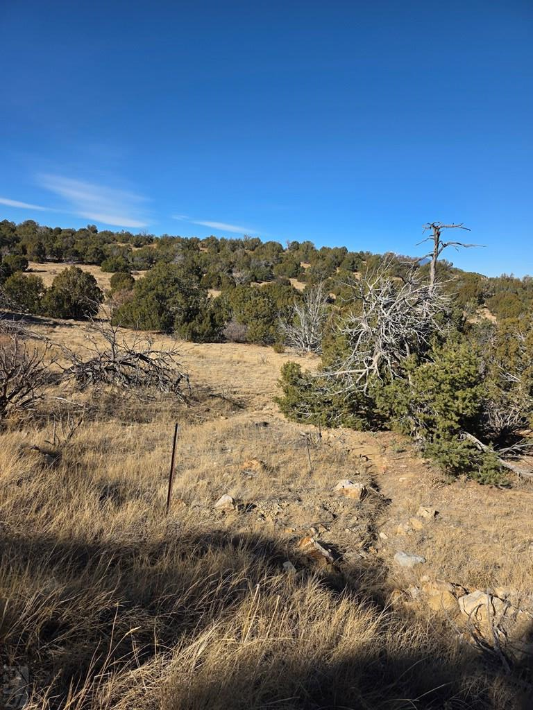 TBD Salida Dr, Walsenburg, CO 81089 - Image #2