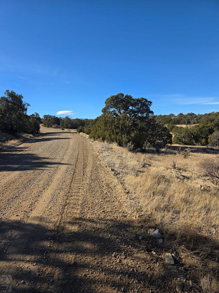 TBD Salida Dr, Walsenburg, CO 81089 - Image #3