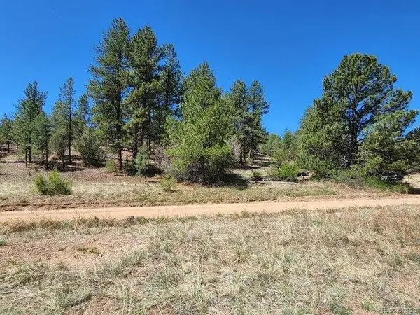 1385 Tumbleweed Rd, Cotopaxi, CO 81223