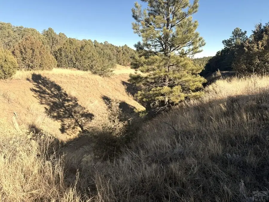 8100 La Belle Trail, Trinidad, CO 81082 - Image #3