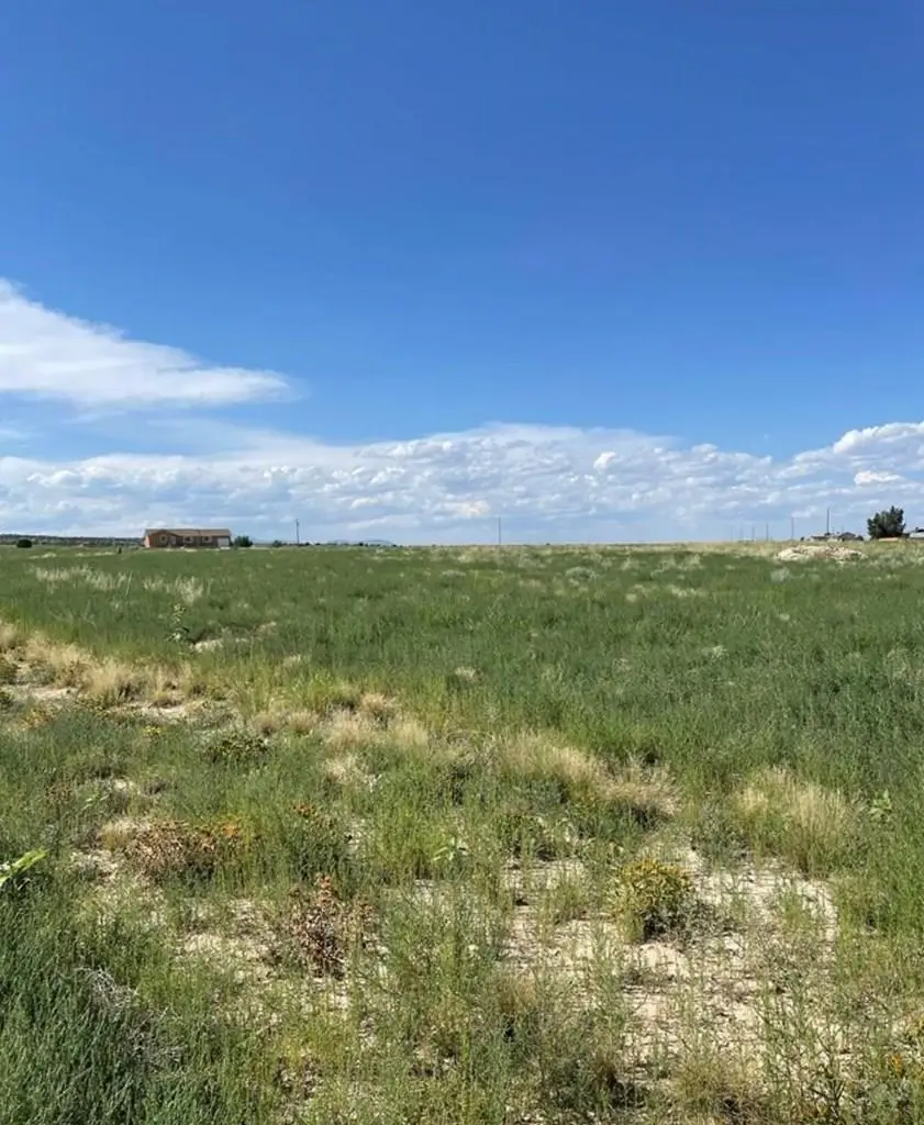 1644 N Calle Rosa Place, Pueblo West, CO 81007 - Image #2