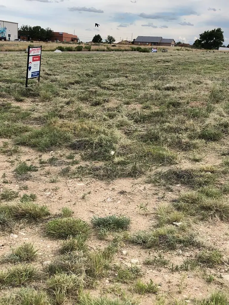 880 E Spaulding Ave, Pueblo West, CO 81007 - Image #3